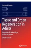 Tissue and Organ Regeneration in Adults