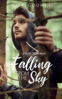 Falling From The Sky