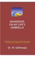 Raindrops on My Life's Umbrella