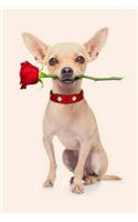 Chihuahua: Artified Pets Dog Journal/Notebook/Diary