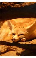 Fennec Fox Relaxng Journal: 150 Page Lined Notebook/Diary