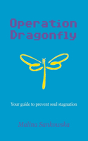Operation Dragonfly