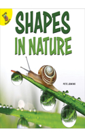 Shapes in Nature