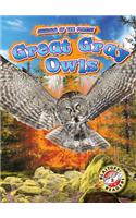Great Gray Owls