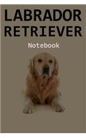 Labrador Retriever Notebook: 120 Page Unlined (6 x 9 inches) Labrador Retriever Journal with More Labrador Retriever s Inside!