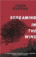 Screaming in the Wind: Is the Religion of Christianity keeping people from Christ?
