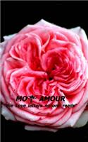 Mon Amour: The Love Letters no one read