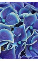 Hydrangea Notebook