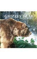 Grizzly Bear Calendar 2019: 16 Month Calendar