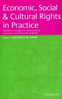 Economic, Social and Cultural Rights in Practice
