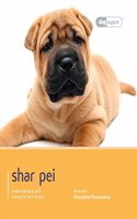 Shar Pei