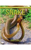 Snake
