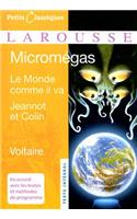 Micromegas