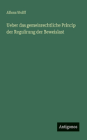 Ueber das gemeinrechtliche Princip der Regulirung der Beweislast