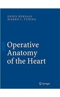 Operative Anatomy of the Heart