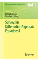Surveys in Differential-Algebraic Equations I