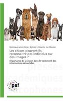 Les Chiens Peuvent-Ils Reconnaitre Des Individus Sur Des Images ?