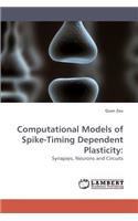 Computational Models of Spike-Timing Dependent Plasticity