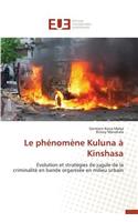 Le Phénomène Kuluna À Kinshasa