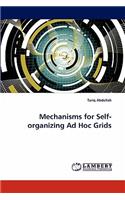 Mechanisms for Self-Organizing Ad Hoc Grids