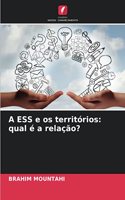 A ESS e os territórios: qual é a relação?
