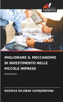 Migliorare Il Meccanismo Di Investimento Nelle Piccole Imprese