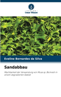 Sandabbau