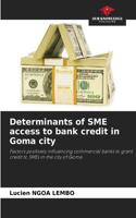 Determinants of SME access to bank credit in Goma city
