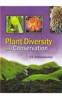 Plant Diversity and Conservation