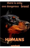 there is only one dangerous breed HUMANS