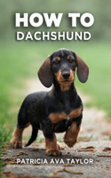 How to Dachshund