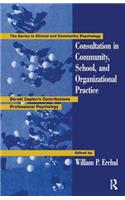 Consultation in Community, School, and Organizational Practice