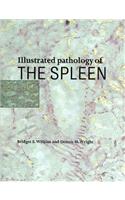 Illustrated Pathology of the Spleen