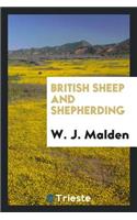 British Sheep and Shepherding