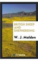 British Sheep and Shepherding