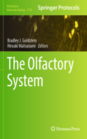 Olfactory System
