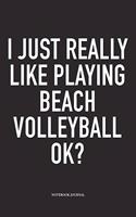I Just Really Like Playing Beach Volleyball Ok?: A 6x9 Inch Matte Softcover Notebook Diary with 120 Blank Lined Pages and a Funny Gaming Sports Cover Slogan