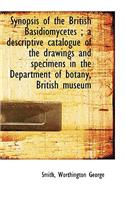 Synopsis of the British Basidiomycetes; A Descriptive Catalogue of the Drawings and Specimens in Th: (English)