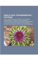 Single-Pass Transmembrane Proteins