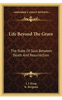 Life Beyond the Grave
