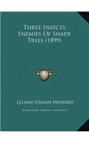 Three Insects Enemies Of Shade Trees (1899)