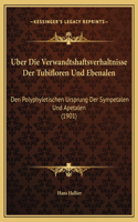 Uber Die Verwandtshaftsverhaltnisse Der Tubifloren Und Ebenalen: Den Polyphyletischen Ursprung Der Sympetalen Und Apetalen (1901)