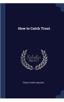 How to Catch Trout