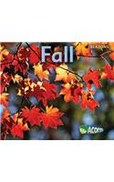 Fall
