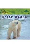 Polar Bears