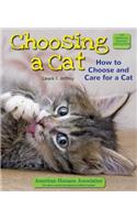 Choosing a Cat