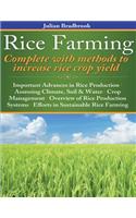 Rice Farming complete with methods to increase rice crop yield