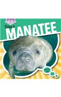 Being a Manatee