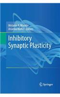 Inhibitory Synaptic Plasticity