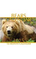 Bears Calendar 2015: 16 Month Calendar